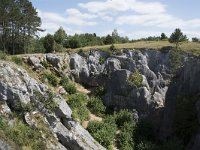 B, Namur, Viroinval, Fondry des Chiens 41, Saxifraga-Willem van Kruijsbergen