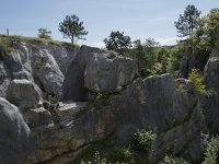 B, Namur, Viroinval, Fondry des Chiens 42, Saxifraga-Willem van Kruijsbergen