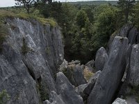 B, Namur, Viroinval, Fondry des Chiens 45, Saxifraga-Willem van Kruijsbergen