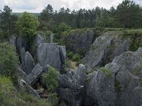 B, Namur, Viroinval, Fondry des Chiens 5, Saxifraga-Willem van Kruijsbergen