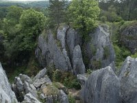 B, Namur, Viroinval, Fondry des Chiens 6, Saxifraga-Willem van Kruijsbergen