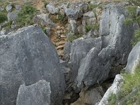 B, Namur, Viroinval, Fondry des Chiens 7, Saxifraga-Willem van Kruijsbergen