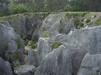 B, Namur, Viroinval, Fondry des Chiens 8, Saxifraga-Willem van Kruijsbergen