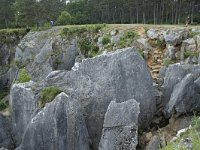 B, Namur, Viroinval, Fondry des Chiens 9, Saxifraga-Willem van Kruijsbergen