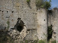 B, Namur, Viroinval, La Haute Roche 13, Saxifraga-Willem van Kruijsbergen