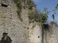 B, Namur, Viroinval, La Haute Roche 14, Saxifraga-Willem van Kruijsbergen
