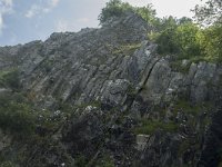 B, Namur, Viroinval, La Haute Roche 2, Saxifraga-Willem van Kruijsbergen