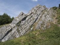 B, Namur, Viroinval, La Haute Roche 7, Saxifraga-Willem van Kruijsbergen