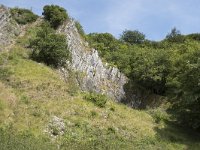 B, Namur, Viroinval, La Haute Roche 8, Saxifraga-Willem van Kruijsbergen