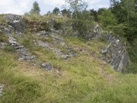 B, Namur, Viroinval, La Roche Trouee 1, Saxifraga-Willem van Kruijsbergen