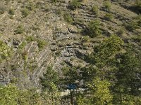 F, Isere, Valbonnais 1, Saxifraga-Jan van der Straaten