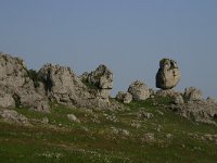 F, Lozere, Fraissinet-de-Fourques, Nimes-le-Vieux 7, Saxifraga-Dirk Hilbers