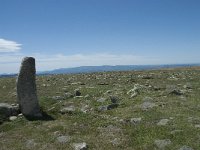 F, Lozere, Le Pont-de-Montvert, Sommet de Finiels 49, Saxifraga-Willem van Kruijsbergen