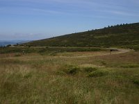 F, Lozere, Pont-de-Montvert-Sud-Mont-Lozère, Picde Finiels 37, Saxifraga-Dirk Hilbers