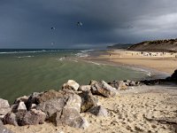 F, Pas-de-Calais, Wissant 3, Saxifraga-Hans Dekker