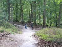 F, Seine et Marne, Barbizon, Foret de Fontainebleau 4, Saxifraga-Jan C. van der Straaten