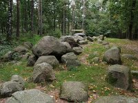 D, Niedersachsen, Thuine 1, Saxifraga-Hans Dekker