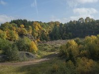 D, Rheinland-Pfalz, Gerolstein, Rockskyll 17, Saxifraga-Willem van Kruijsbergen
