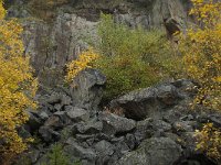 D, Rheinland-Pfalz, Gerolstein, Rockskyll 2, Saxifraga-Willem van Kruijsbergen