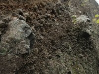 D, Rheinland-Pfalz, Gerolstein, Rockskyll 21, Saxifraga-Willem van Kruijsbergen