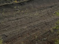 D, Rheinland-Pfalz, Gerolstein, Rockskyll 23, Saxifraga-Willem van Kruijsbergen