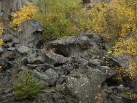 D, Rheinland-Pfalz, Gerolstein, Rockskyll 3, Saxifraga-Willem van Kruijsbergen