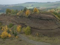 D, Rheinland-Pfalz, Gerolstein, Rockskyll 31, Saxifraga-Willem van Kruijsbergen