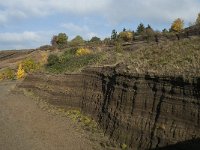 D, Rheinland-Pfalz, Gerolstein, Rockskyll 39, Saxifraga-Willem van Kruijsbergen