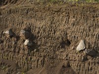 D, Rheinland-Pfalz, Gerolstein, Rockskyll 40, Saxifraga-Willem van Kruijsbergen