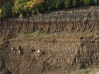 D, Rheinland-Pfalz, Gerolstein, Rockskyll 42, Saxifraga-Willem van Kruijsbergen