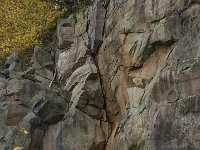 D, Rheinland-Pfalz, Gerolstein, Rockskyll 7, Saxifraga-Willem van Kruijsbergen