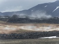 IS, Nordurland eystra, Nordurbing, Myvatn 1, Saxifraga-Peter Stein