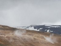 IS, Nordurland eystra, Nordurbing, Myvatn 2, Saxifraga-Peter Stein