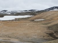 IS, Nordurland eystra, Nordurbing, Myvatn 3, Saxifraga-Peter Stein
