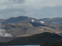 IS, Nordurland eystra, Nordurbing, Myvatn 5, Saxifraga-Peter Stein