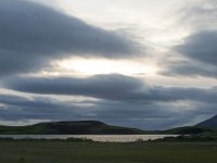 IS, Nordurland eystra, Nordurbing, Myvatn 6, Saxifraga-Peter Stein