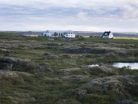 IS, Nordurland eystra, Nordurbing, Myvatn 7, Saxifraga-Peter Stein