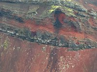 IS, Sudurland, Asahreppur, Ljotipollur 3, Saxifraga-Dick Hoogenboom.tif