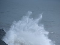 IS, Sudurland, Myrdalshreppur, Dyrholaey 3, Saxifraga-Dick Hoogenboom.tif