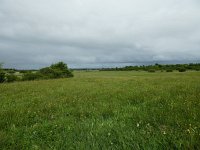 IRL, Clare County, The Burren 1, Saxifraga-Kees Laarhoven