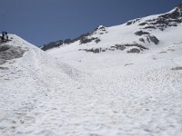 I, Sued Tirol, Canazei, Marmolada 27, Saxifraga-Willem van Kruijsbergen