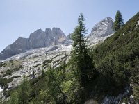 I, Sued Tirol, Canazei, Marmolada 6, Saxifraga-Willem van Kruijsbergen