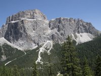 I, Sued Tirol, Canazei, Sas de Pordoi 2, Saxifraga-Willem van Kruijsbergen