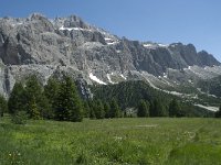 I, Sued Tirol, Canazei, Sas de Pordoi 5, Saxifraga-Annemiek Bouwman