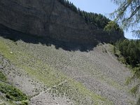 I, Sued Tirol, Sankt Ulrich, Balest 1, Saxifraga-Willem van Kruijsbergen