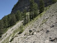 I, Sued Tirol, Sankt Ulrich, Balest 10, Saxifraga-Willem van Kruijsbergen