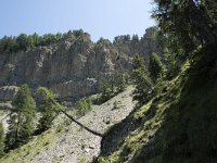 I, Sued Tirol, Sankt Ulrich, Balest 11, Saxifraga-Willem van Kruijsbergen