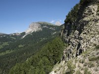 I, Sued Tirol, Sankt Ulrich, Balest 15, Saxifraga-Willem van Kruijsbergen