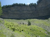 I, Sued Tirol, Sankt Ulrich, Balest 18, Saxifraga-Annemiek Bouwman