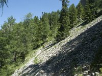 I, Sued Tirol, Sankt Ulrich, Balest 20, Saxifraga-Annemiek Bouwman